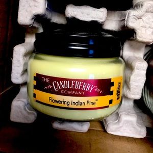 Candleberry Flowering Indian Pine